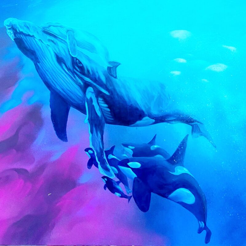 Protección (Coleccion Respiro)